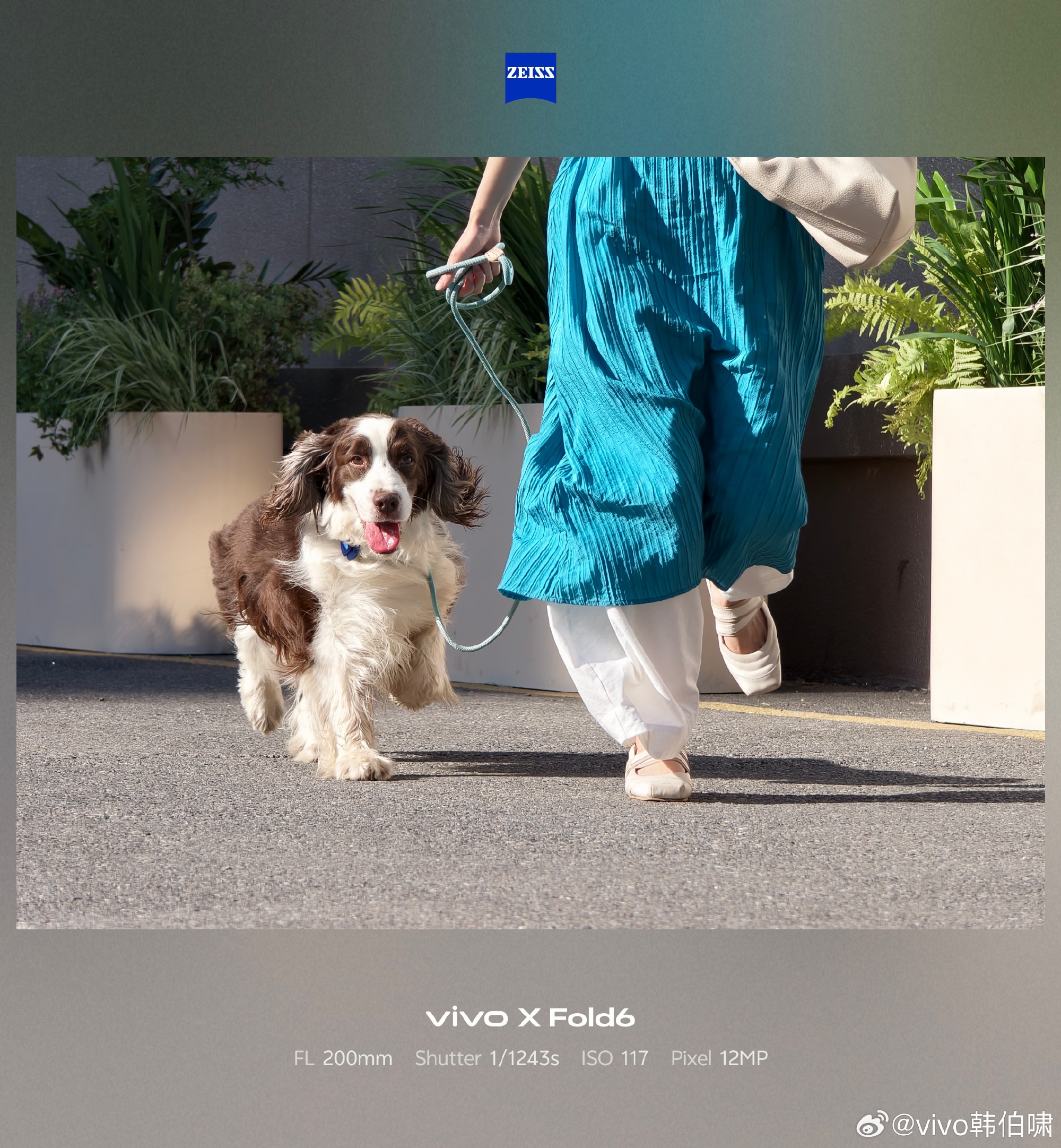 Vivo X Fold 6 camera samples
