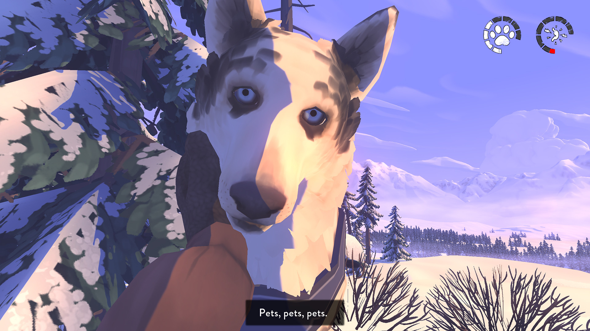 A gameplay screenshot showing the musher setting up camp