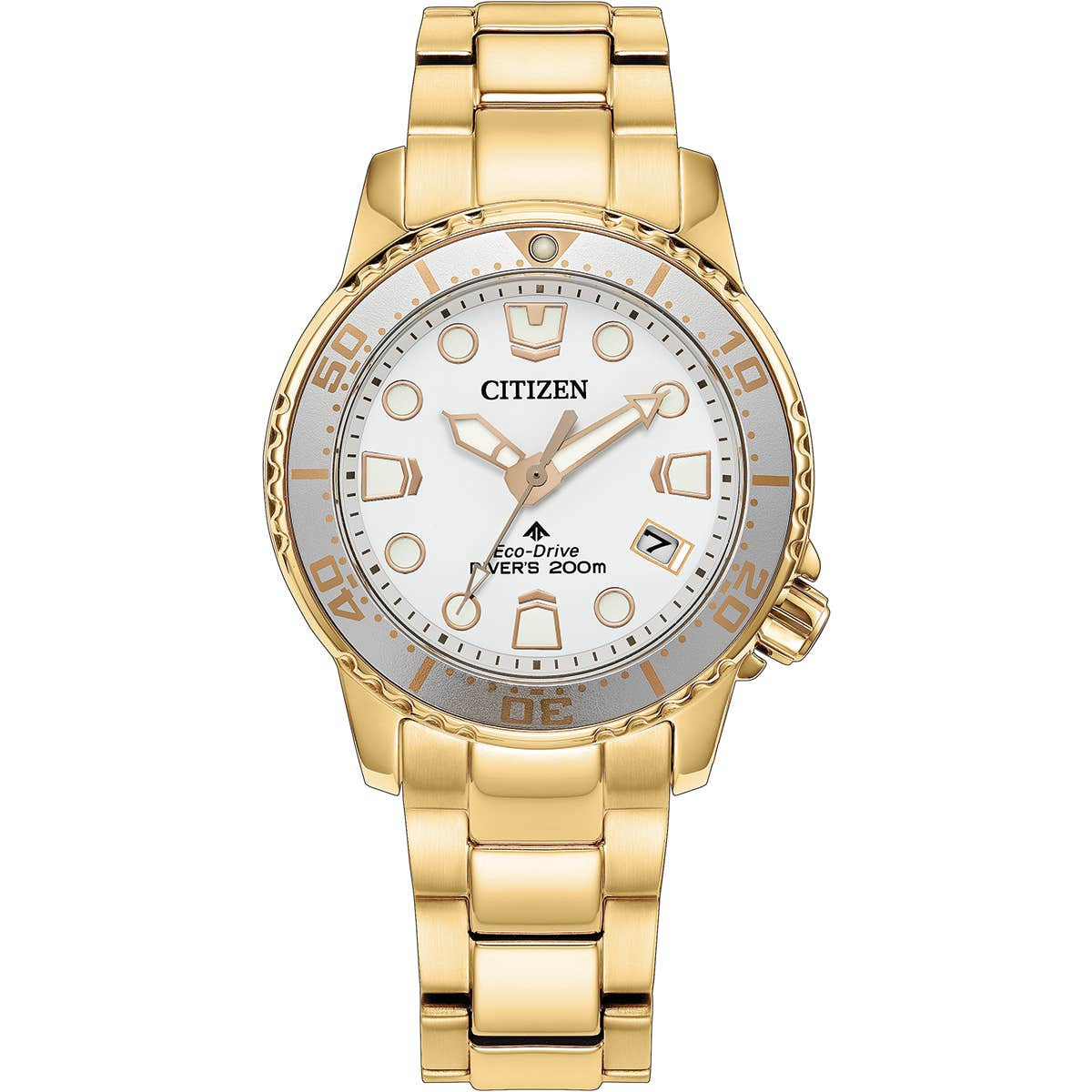 Citizen EO2029-54A compact gold-tone diver watch catalog image